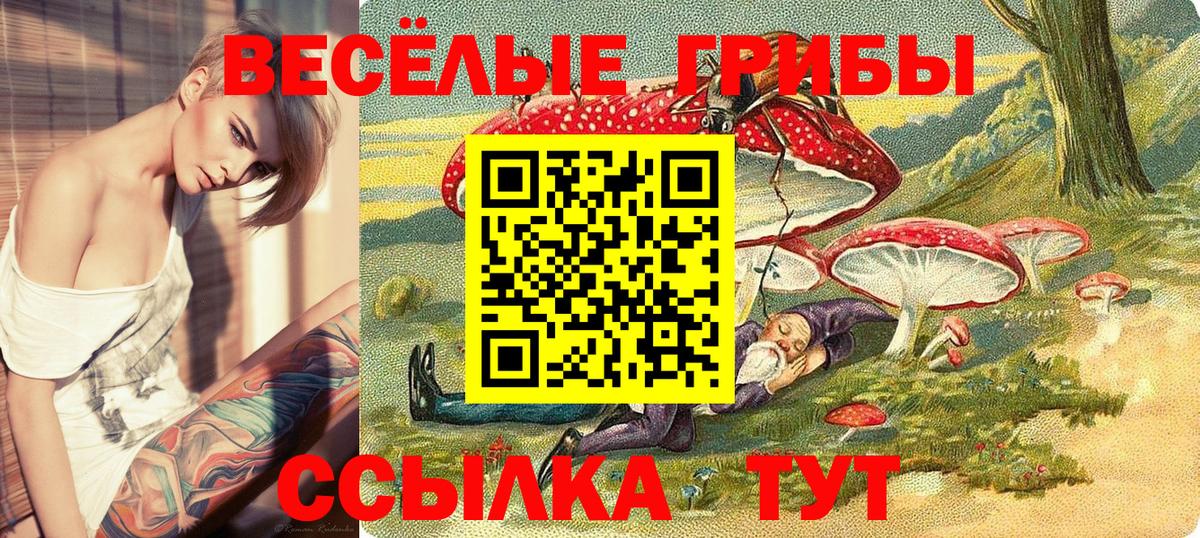 Псилоцибиновые грибы мицелий Азов