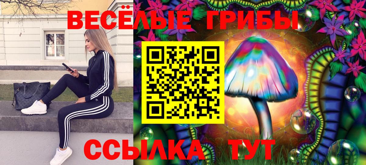 Азов  Галлюциногенные грибы мицелий  Псилоцибиновые грибы Psilocybe  Вход с VPN 